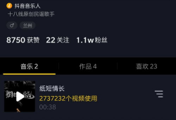 抖音短视频的歌曲,探寻流行旋律背后的情感共鸣